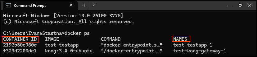 Finding the container name and ID.