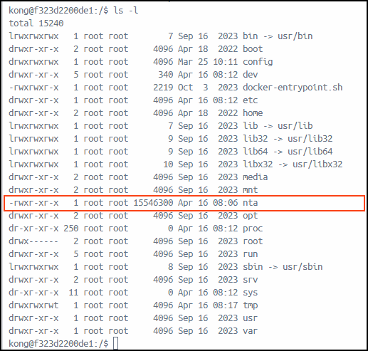 Verifying the nta executable.