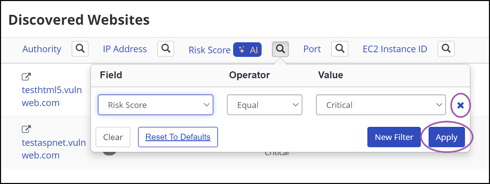 Invicti Enterprise Discovered websites page showing the filter options and apply button.