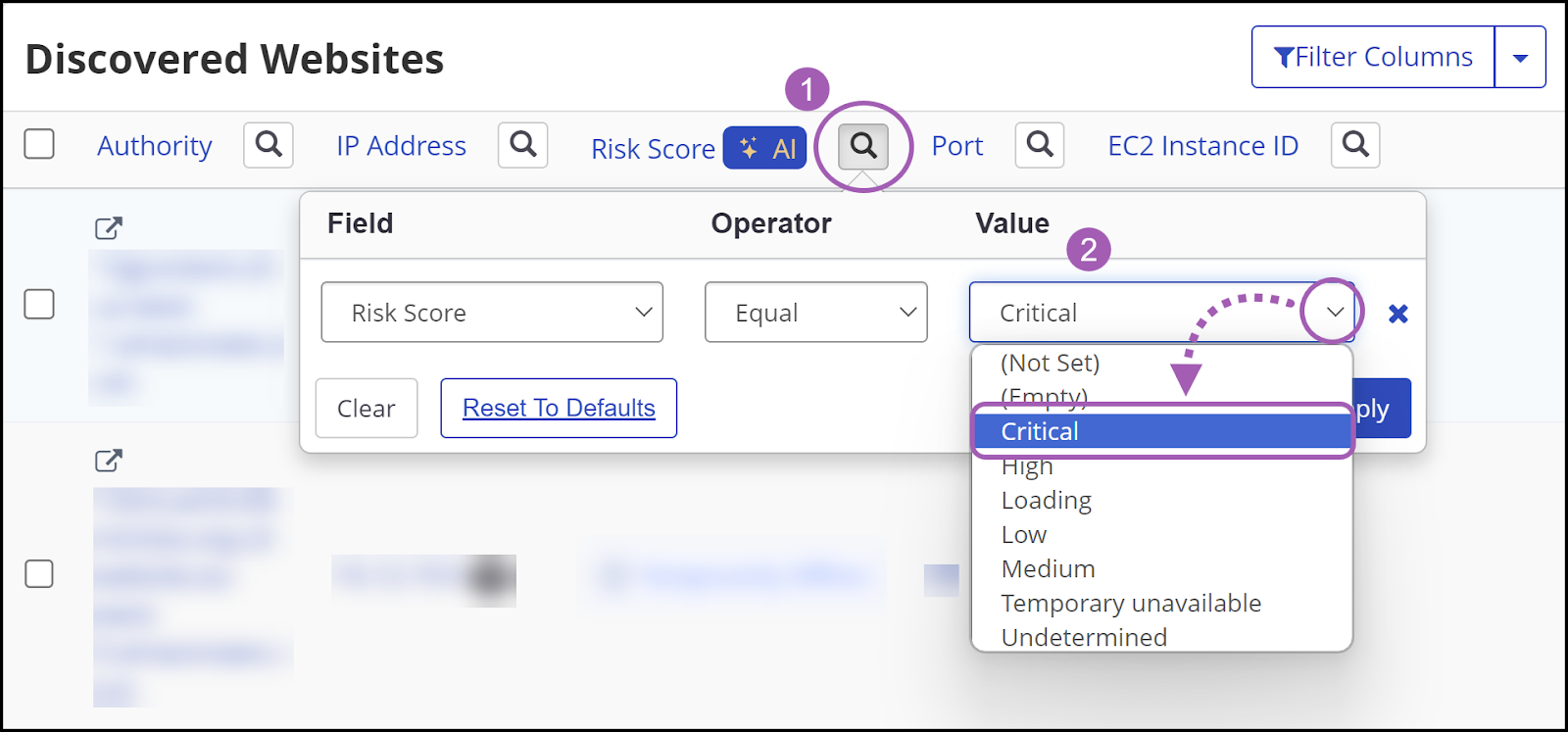 Invicti Enterprise Discovered websites page showing the filter options.