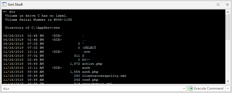 Get Shell panel in Scan Summary Dashboard