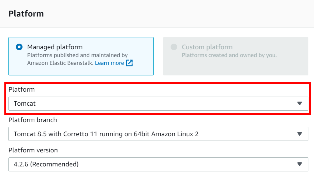 Tomcat platform settings.