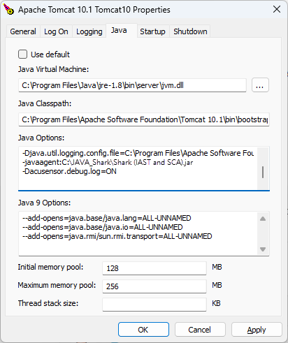 Java options configuration.