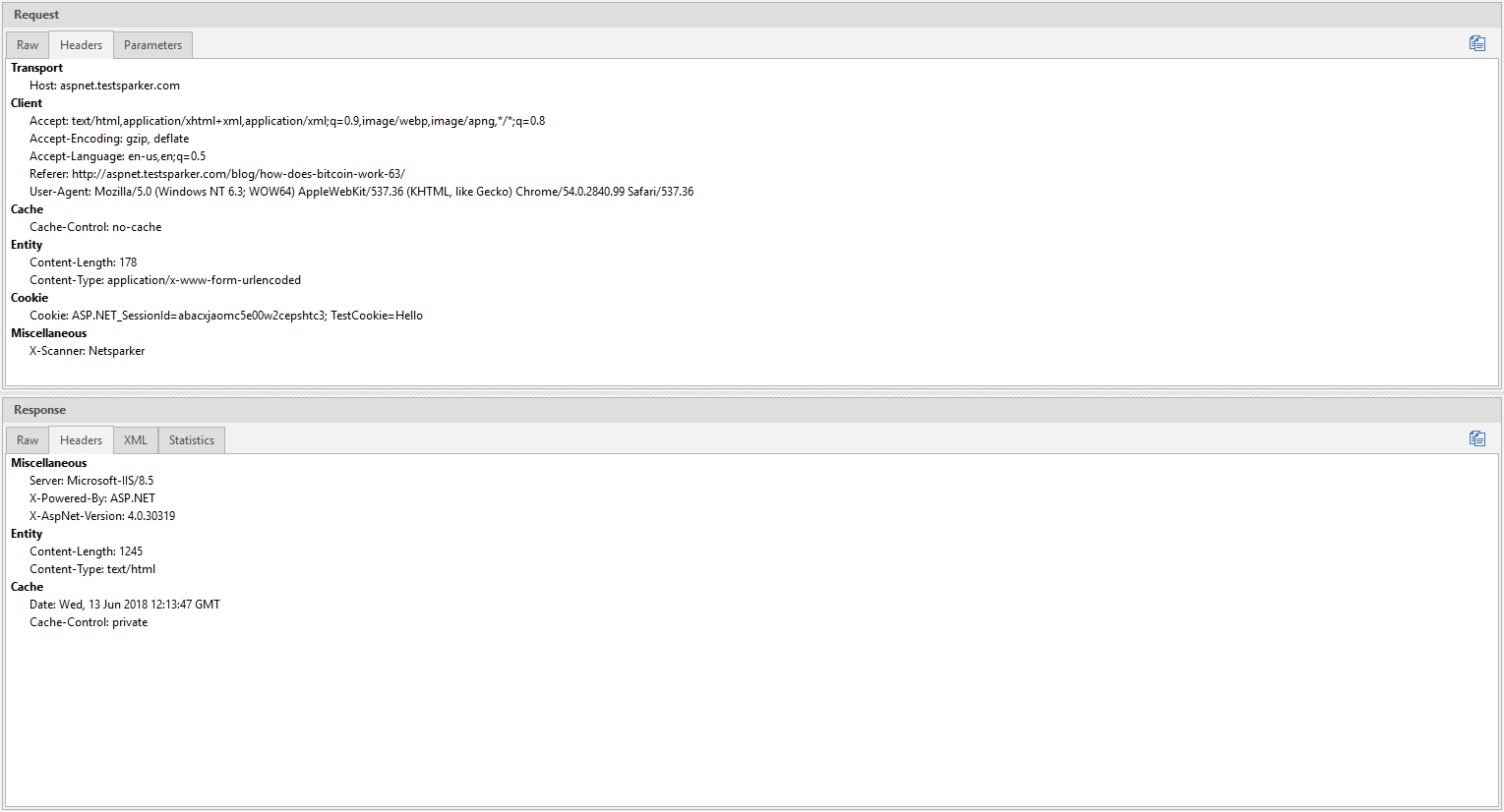 Raw and Headers tabs