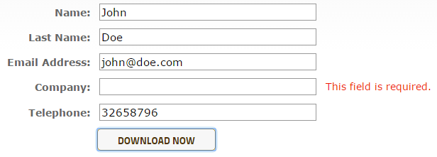 Web form showing validation error for required company input field that was not populated