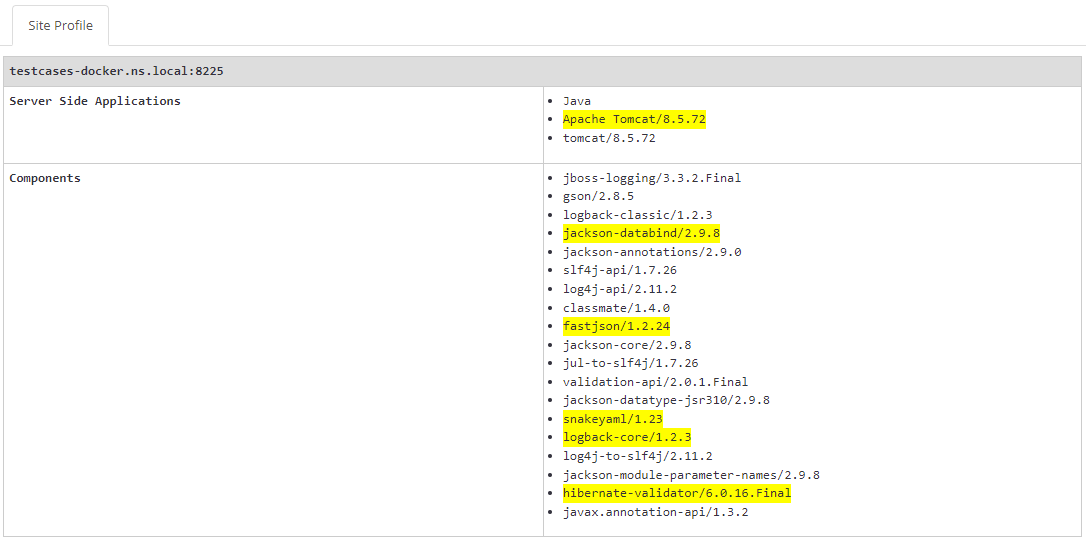 Site Profile node in Invicti Enterprise Knowledge Base showing technology information and version details