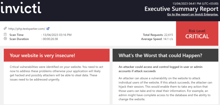 Executive summary report overview.