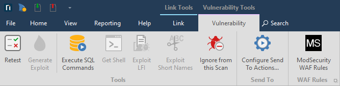 Export single vulnerability as ModSecurity WAF rule.