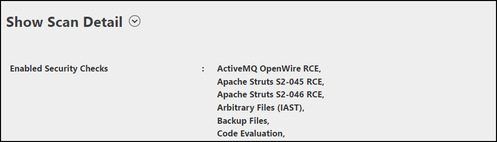 Scan details section showing profile settings and enabled security checks configuration