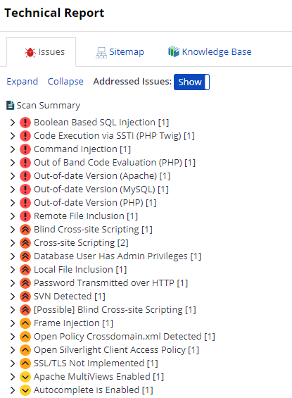 Issues tab showing vulnerabilities.