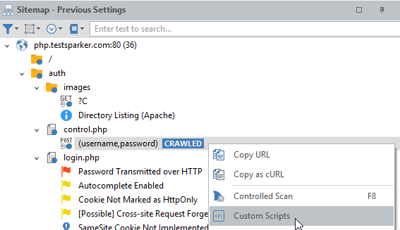 Custom Scripts panel in Invicti Standard.