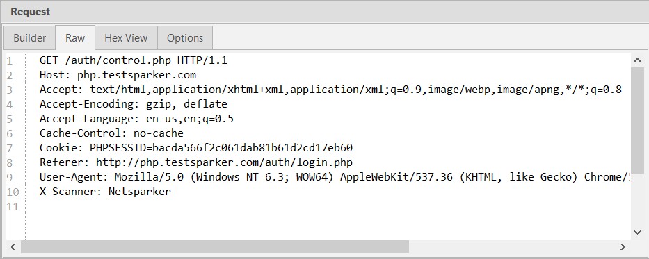 Request Builder RAW tab view