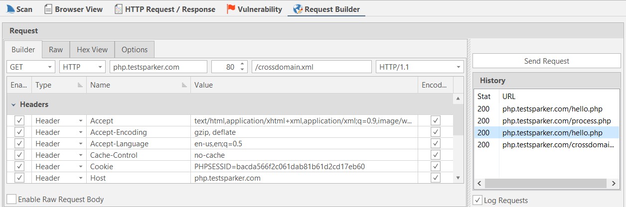 Request Builder RAW tab view