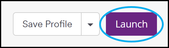 Launch scan with profile.