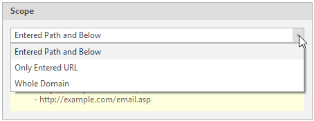 Scan Scope tab in Invicti Enterprise