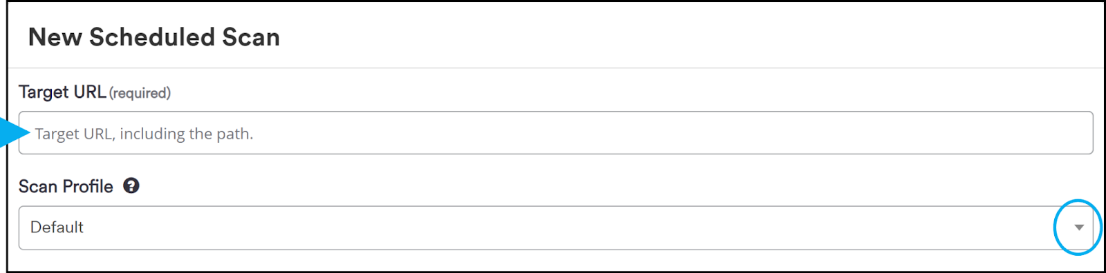 Target URL and Scan Profile fields.