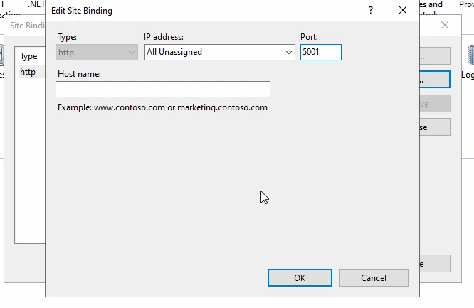 IIS site bindings dialog showing the http binding with the port changed to 5001