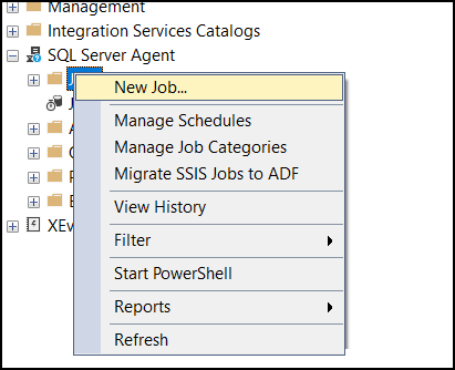 SQL Server Agent Services