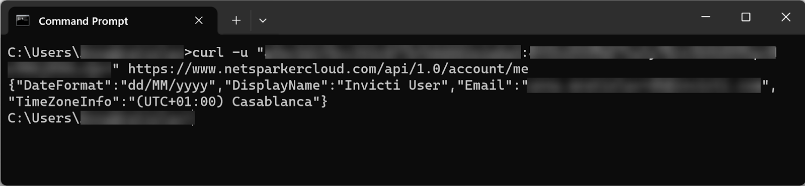 API call example in command prompt
