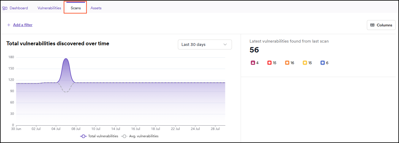 Scans tab in the Application dashboard.
