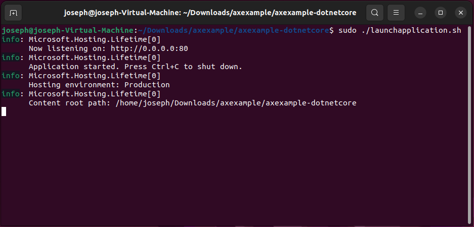 Launching the web application on Linux