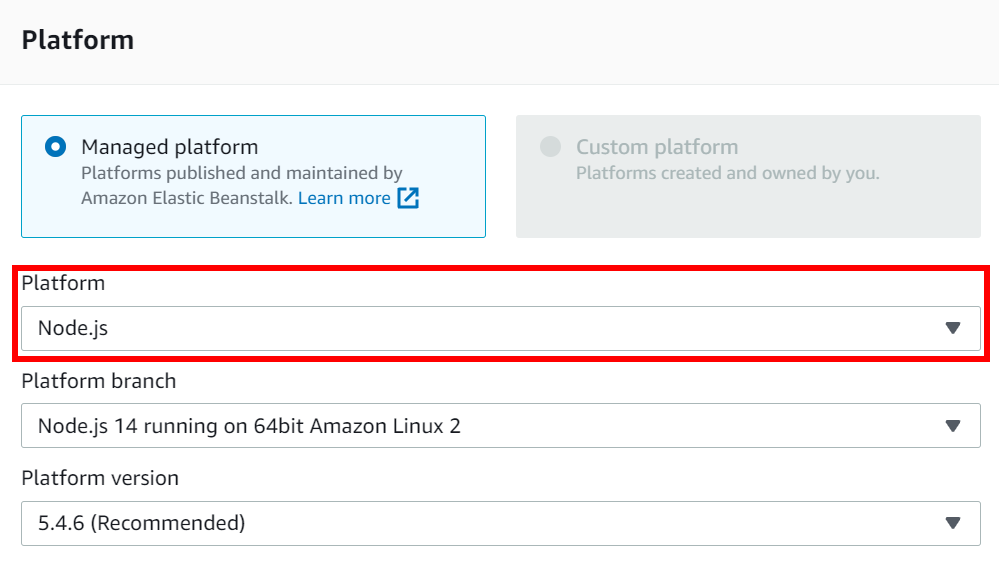Set platform to Node.js.