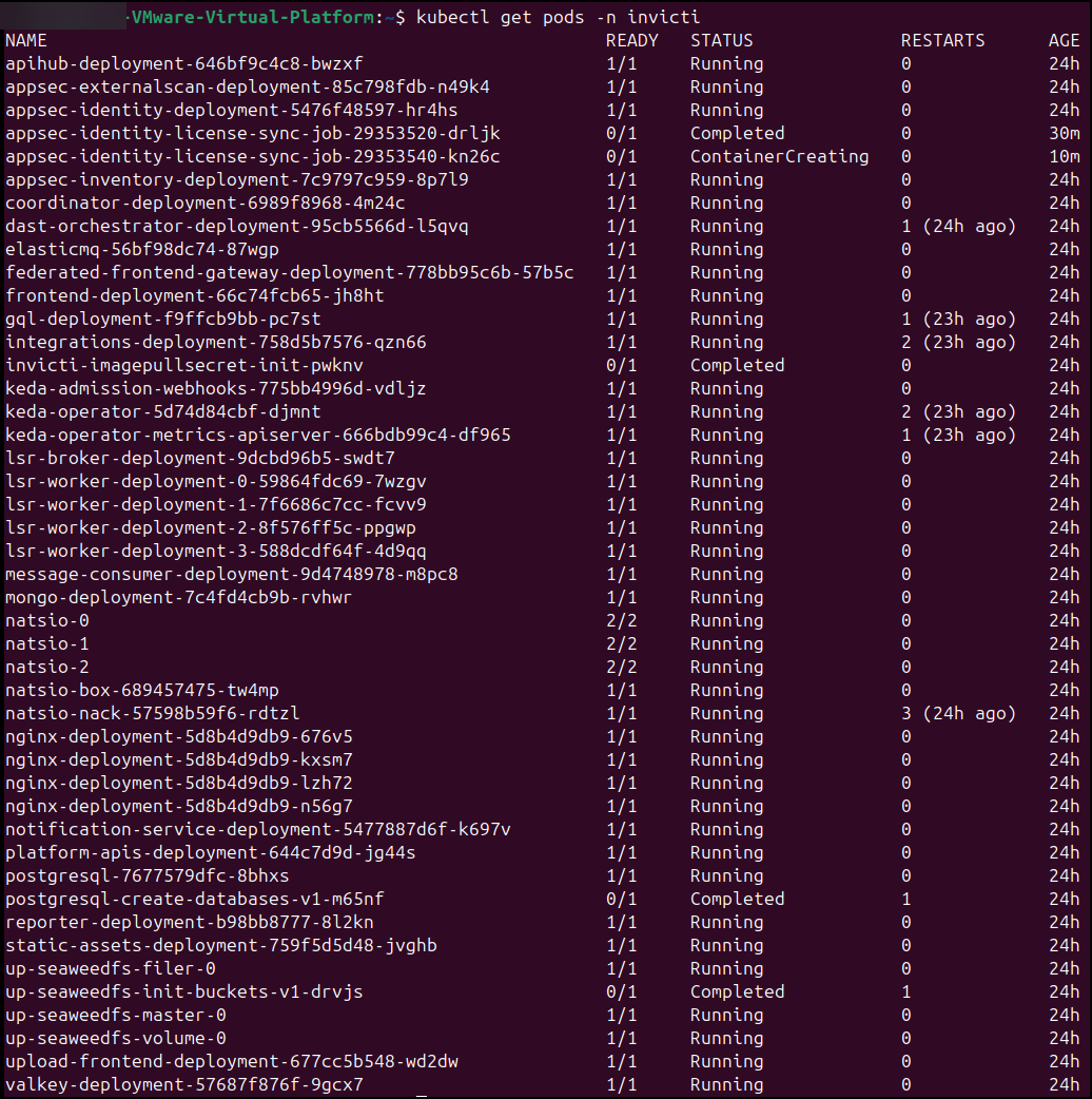 Terminal showing all pods in the running state.