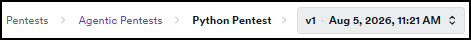 Pentest breadcrumb showing Pentests, Agentic Pentests, the pentest name, and a version dropdown set to v1 with the assessment date and time