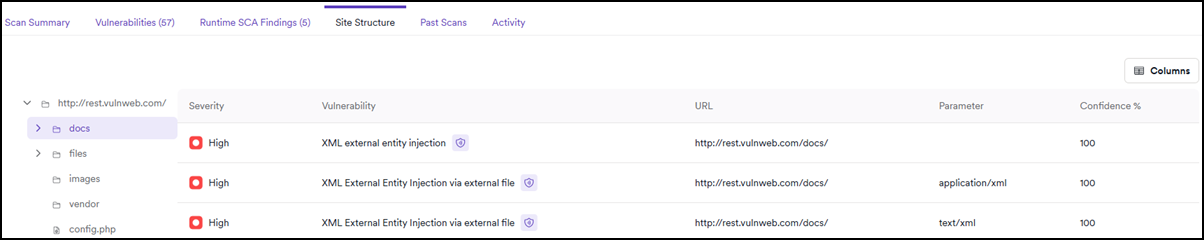 The vulnerabilities page showing the site structure tab